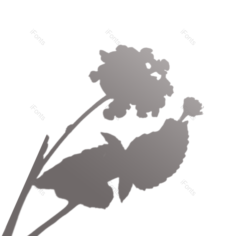 叶子图片,阴影元素,灰色PNG,阳光免抠素材